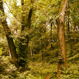 Multitasking: I found the portal to Lokana while hiking at Pine Lake on a family vacation. Family time + research FTW! :)