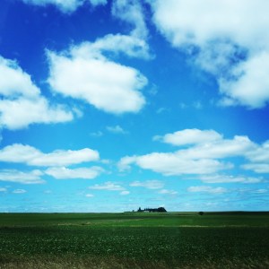 Look at that sky! It just makes you feel good to be alive, doesn't it? :)