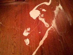 Bubbles ended up with paint on his feet.  It made a lovely set of footprints. :)