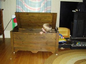 This toybox survived me and my sister (until she got her own). Now it belongs to Bubbles and, so far, it's survived him, too. :)