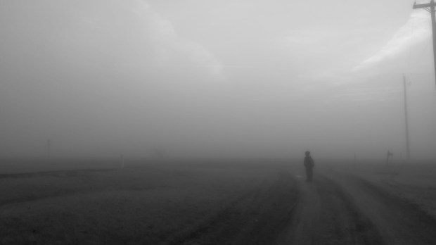 foggyroad