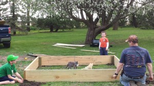 Even outside cats love boxes!